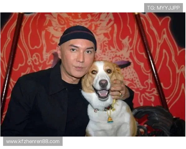 尊龙就是博：尊龙如何凭借实力赢得观众的持续喜爱