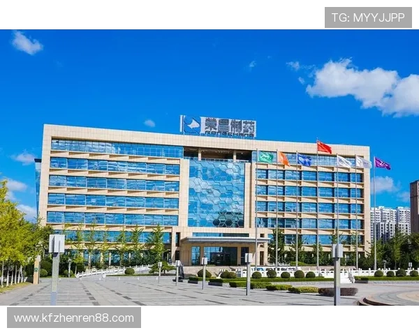 凯发全站：深入了解凯发全站的技术支持与客户服务体系，保障您的使用无忧