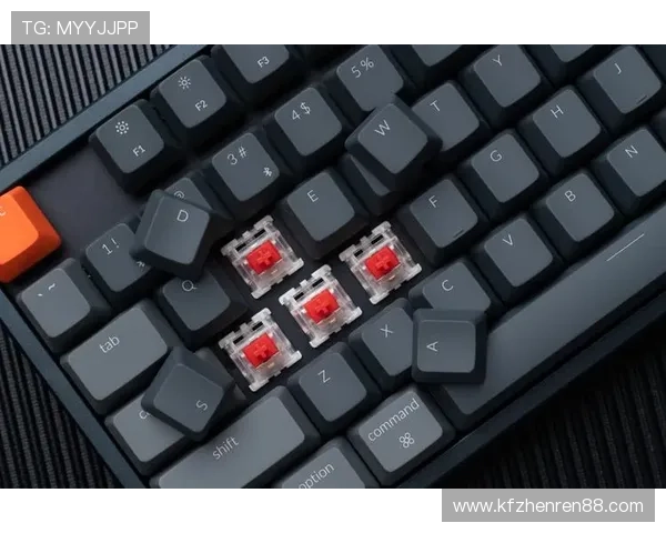 K8亚洲登陆最新攻略助你轻松开启高效游戏体验全方位解析K8亚洲登陆流程与安全保障措施